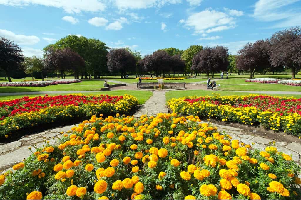 beautiful garden in lampton park