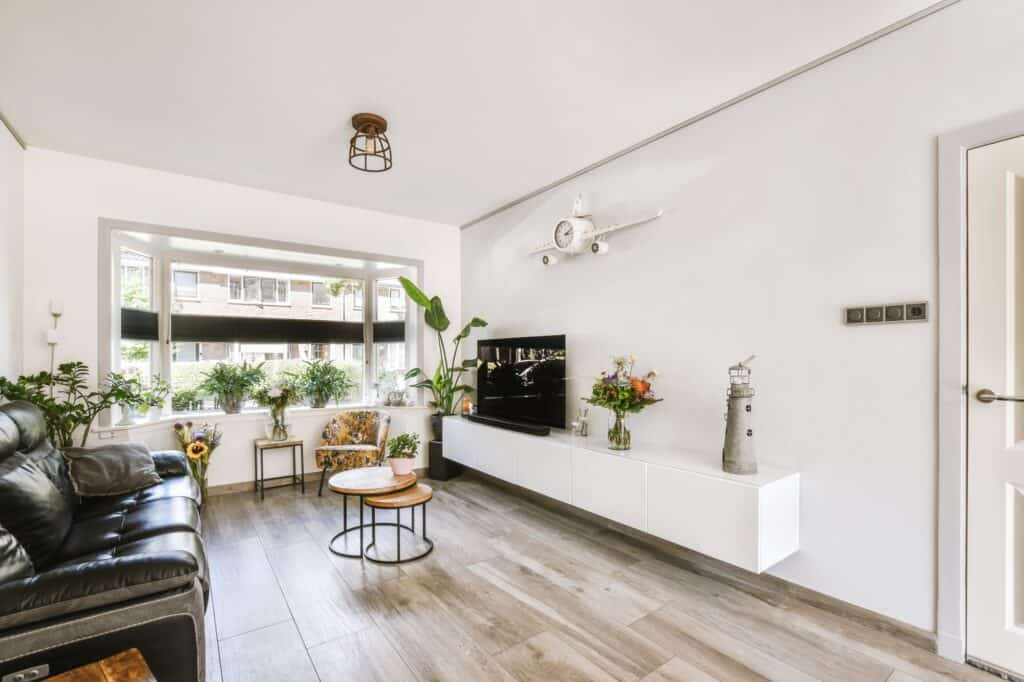 A minimalist, contemporary living room with indoor plants in the concept of 'how to pack and unpack for a home removal efficiently'.