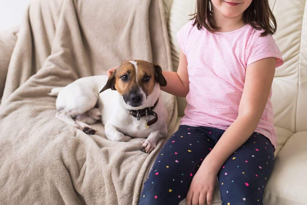 Cropped image of a young girl and a pet dog on the couch